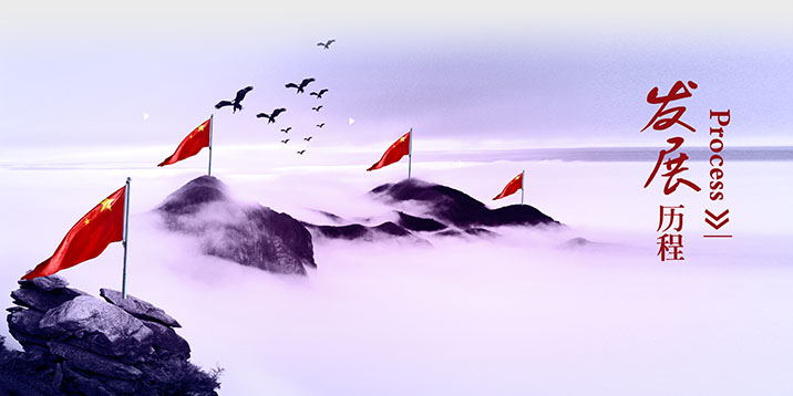 发展历程